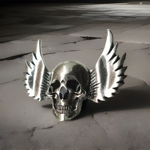 Nos outlaws angels biker - angels,